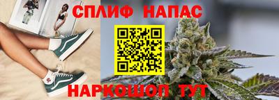 прущие грибы Комсомольск-на-Амуре