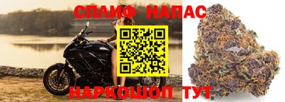 амф Конаково