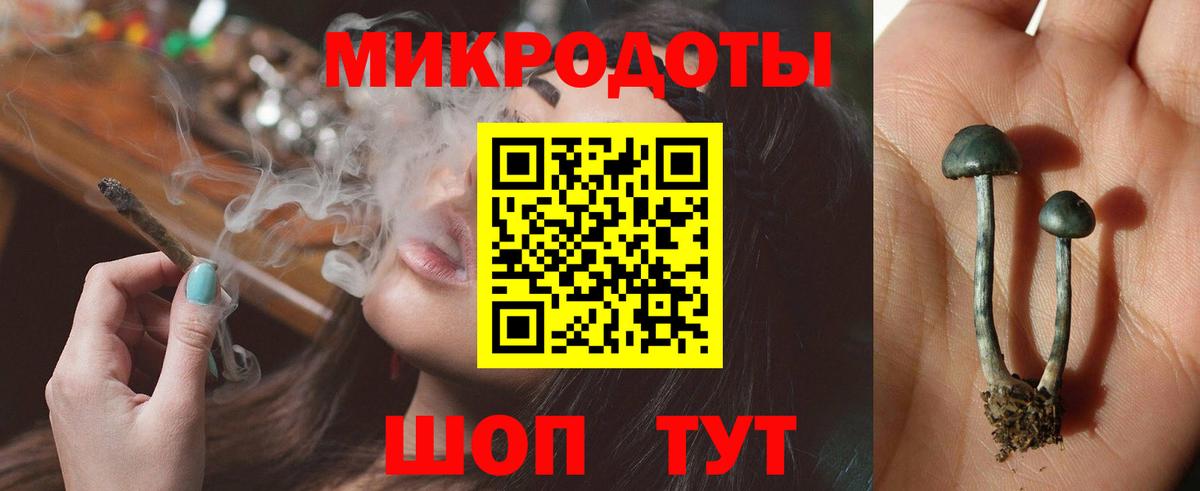 Корсаков  Галлюциногенные грибы ЛСД  Вход с VPN 